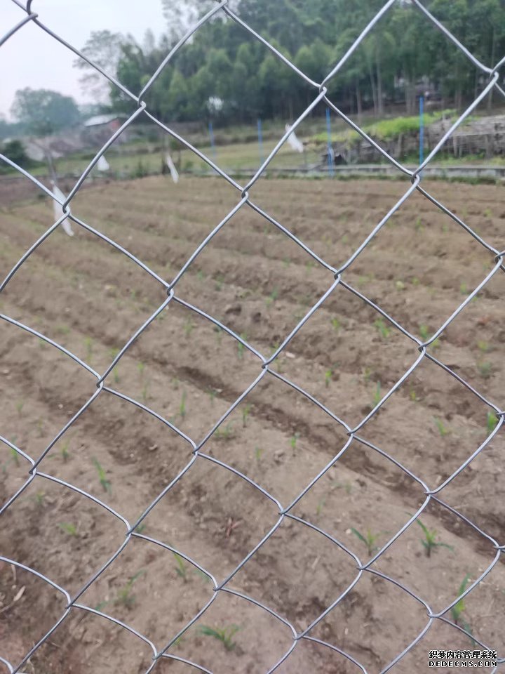 圈山圈地围栏15531860906.jpg